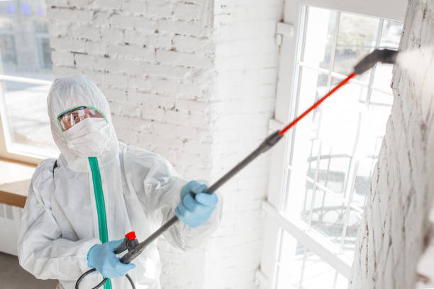 Best Mold Remediation for Healthcare Facilities  in Houserville, PA