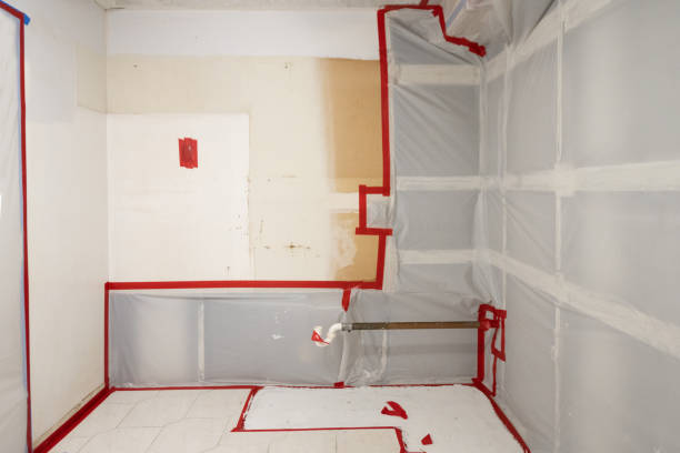 Best Forensic Mold Investigation  in Houserville, PA