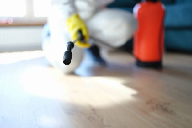 Best Mold Odor Removal Services  in Houserville, PA