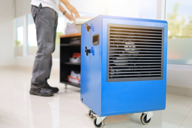 Best Black Mold Removal  in Houserville, PA