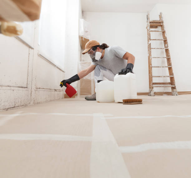 Best Air Quality Testing for Mold Spores  in Houserville, PA